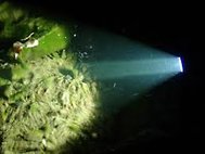 яркий луч под водой